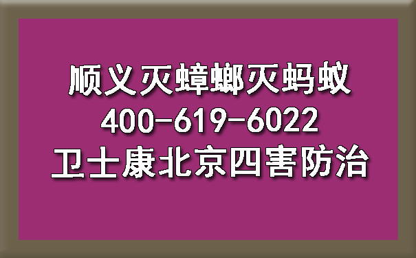 顺义灭蟑螂灭蚂蚁400-619-6022乐动体育北京四害防治